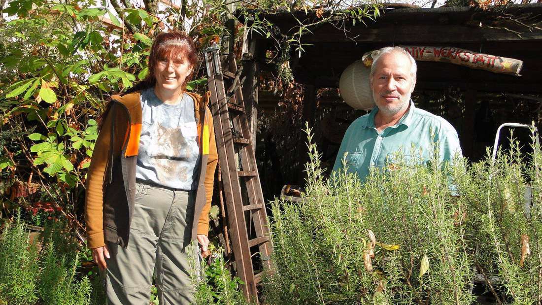 OP-Online: Geburtstag des Elsternests