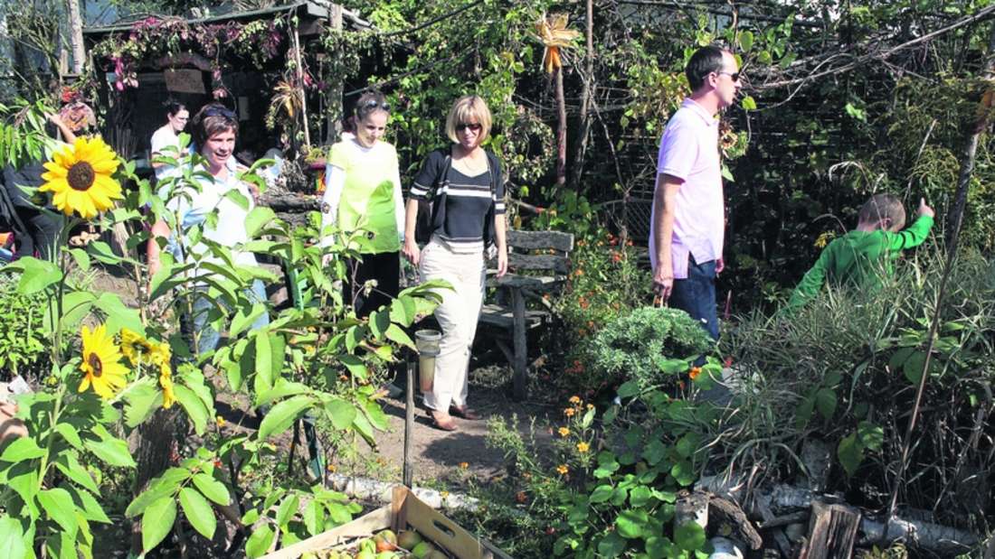 OP-Online: Erntefest im Elsternest